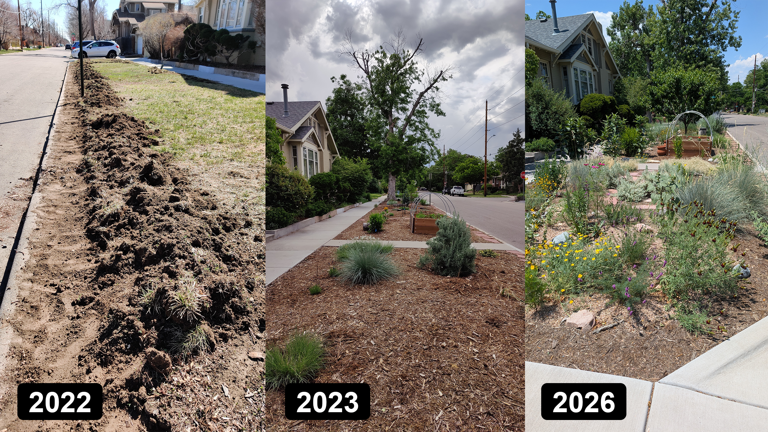 The garden over time — 2022, 2023 and 2026